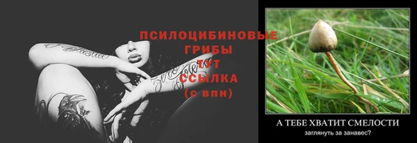 герыч Дмитриев