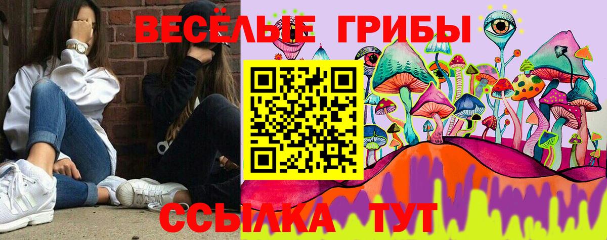 Галлюциногенные грибы прущие грибы  Вход с VPN  Ливны  Галлюциногенные грибы мицелий 